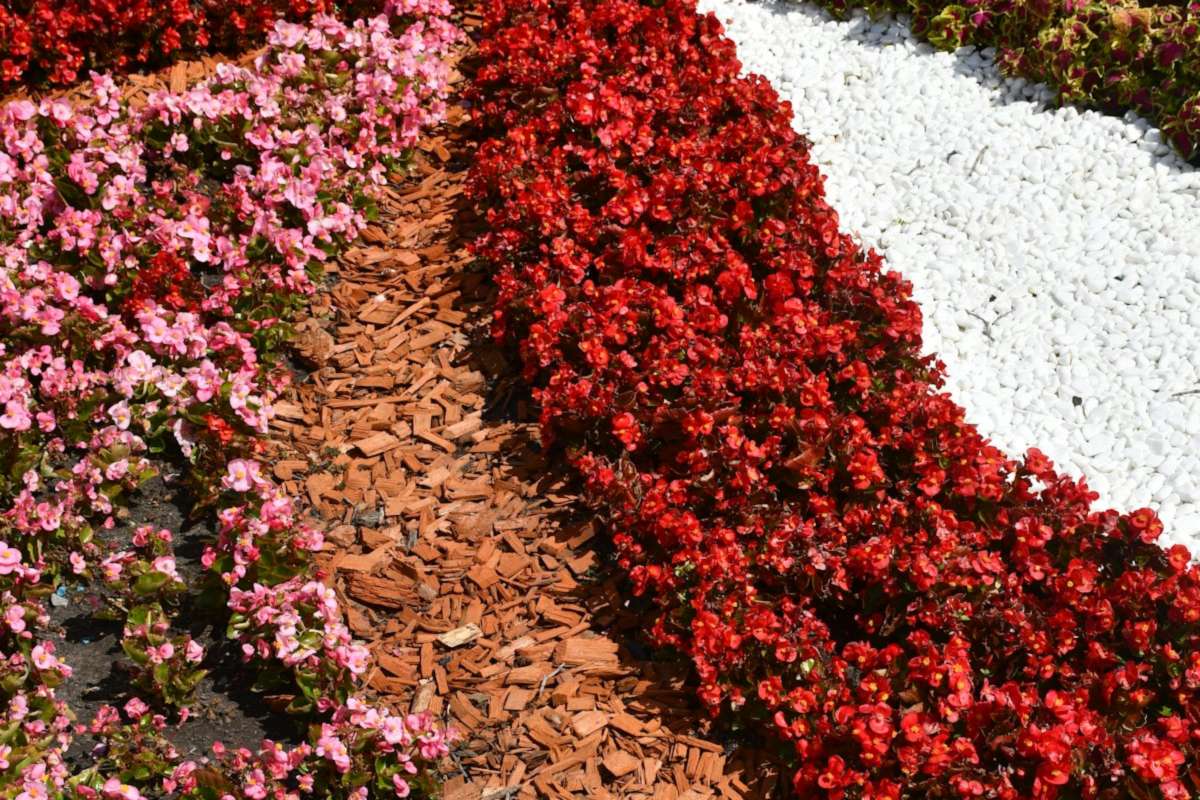 Flower beds with fresh mulch
